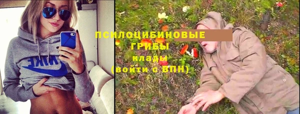 а пвп мука Армянск