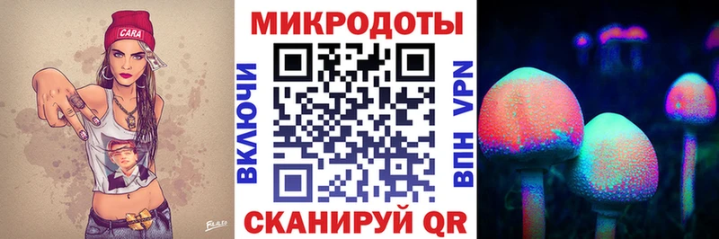 купить закладку  Покров  Псилоцибиновые грибы GOLDEN TEACHER 
